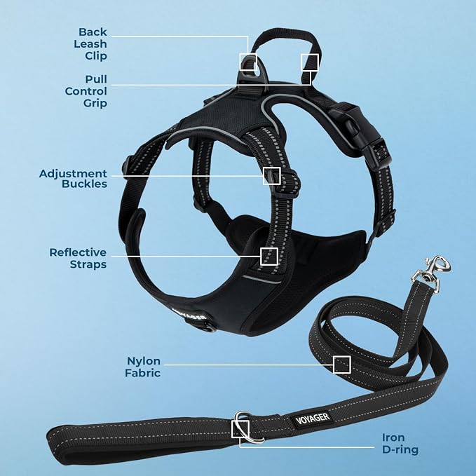 Voyager Dog Harness Dual Leash Attachment No-Pull Control Adjustable Soft but Strong Pet Harness for Medium and Large Dogs with 3M Reflective Technology, Leash Set Black Nylon, M (Chest: 20-25") - Image 3