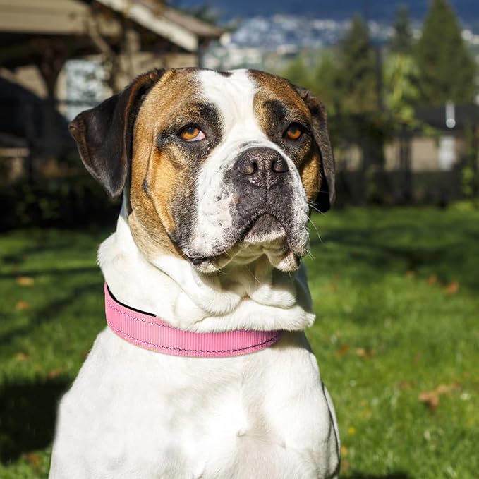 Joytale Reflective Dog Collar, Adjustable Neoprene Padded, Pink XL | Breathable Nylon for Large Breeds, No Chafing on Hikes and Outdoor Use, Tear-Resistant Webbing, Metal D-Ring, Night Safety - Image 2