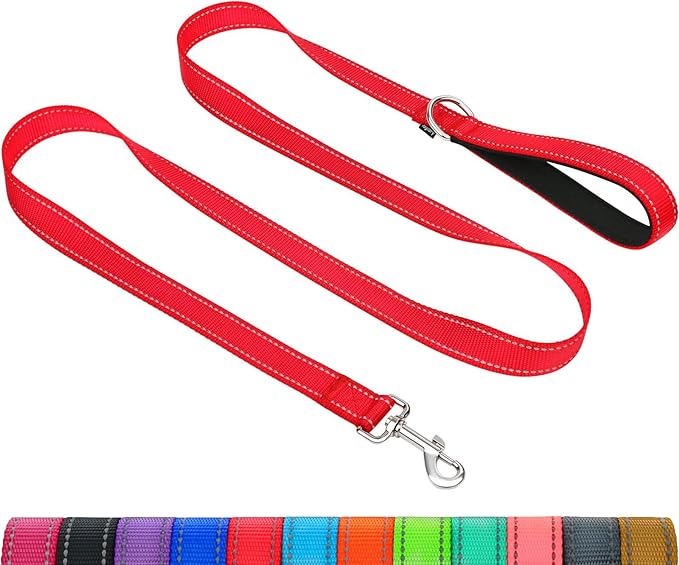 Taglory Reflective Dog Leash for Small Dogs, 3/4in x 6ft, Red | Ideal for Night Walking, Strong for Sudden Pulls, Lightweight & Gentle on the Neck, Soft Padded Handle by Taglory