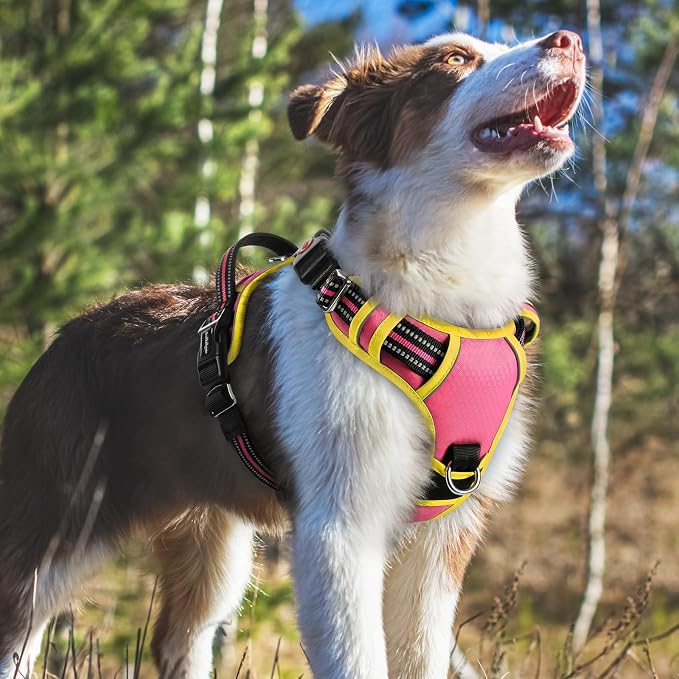 rabbitgoo Dog Harness Medium Sized, No Pull 3 Buckles Easy On & Off | Soft Padded, Walking with Control Handle, Adjustable and Reflective, Pink & Yellow, Medium - Image 8