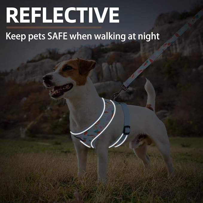 PUPTECK Small Dog Harness and Leash Set No Pull for XS XXS Sized Dogs Puppy | Escape Proof No Choke Pet Cat Adjustable Soft Padded Walking Vest - Image 6