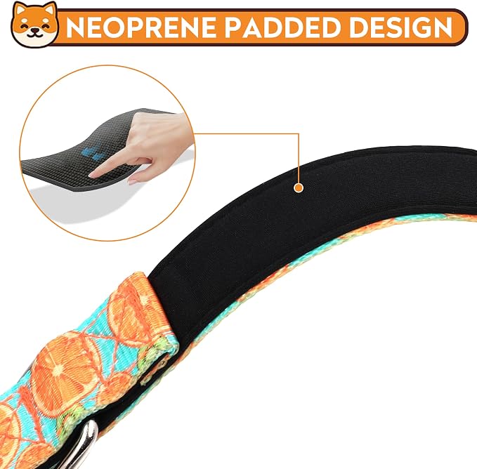 Reflective Dog Collar, Adjustable Soft Neoprene Padded,Summer Lemon,S | Breathable Nylon for Small Dogs,Tear-Resistant Webbing,Chafe‑Free on Walks and Hikes,Metal D-Ring,Night Safety - Image 4