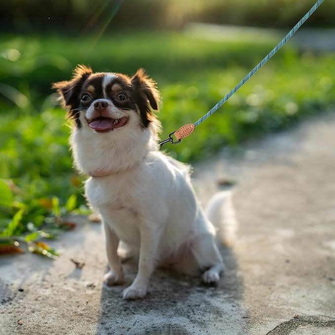 Mile High Life Dog Leash with Genuine Leather-Wrapped Ends, 4/5/6FT | Tangle-Free 360° Swivel Clasp Heavy Duty Rope Leash | Small Medium Large Dogs | Daily Walking (Green, 72 Inch, 1/3") - Image 2