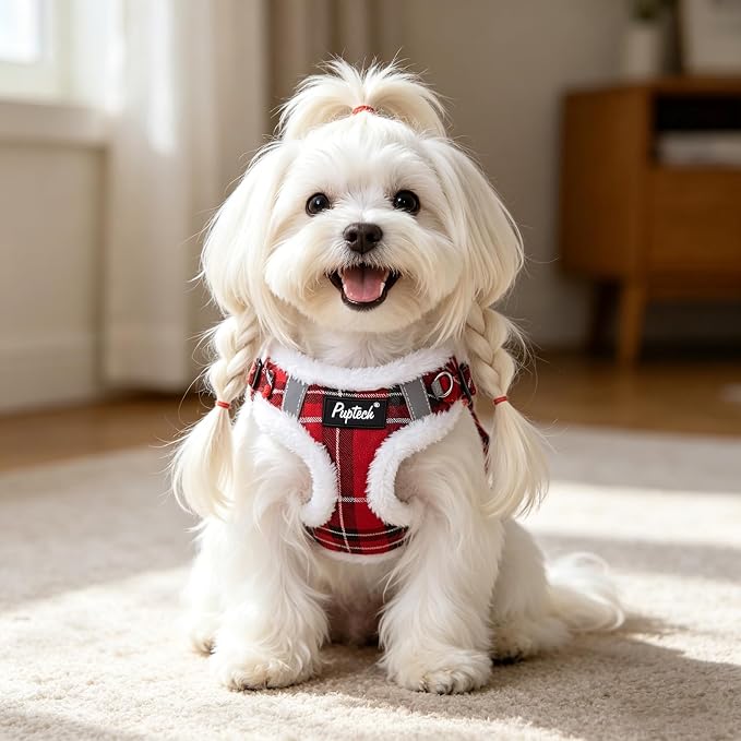 PUPTECK Dog Harness and Leash Set Small Sized, Step in No Pull Adjustable Puppy Cat Harness Reflective Pet Vest - Image 6