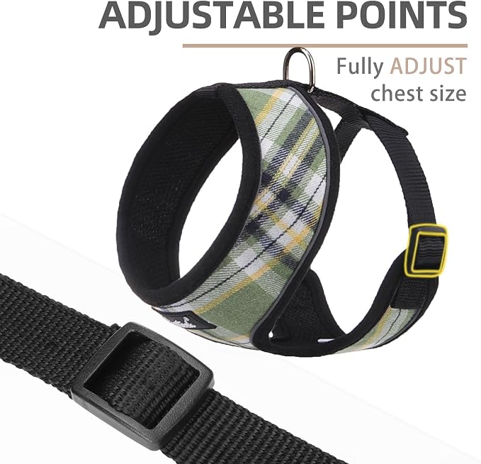 PUPTECK Small Dog Harness and Leash Set No Pull for XS XXS Sized Dogs Puppy | Escape Proof No Choke Pet Cat Adjustable Soft Padded Walking Vest - Image 2