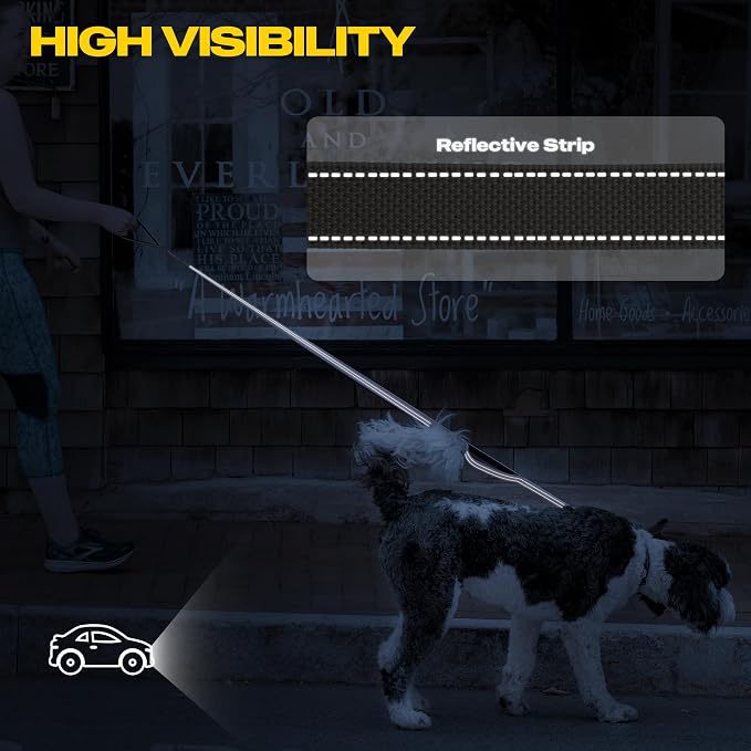 Fida 10 FT Heavy Duty Dog Leash, Dual Padded Handles for Medium Large Dogs | Traffic Handle for Close Control, Advanced Easy Snap Hook, Reflective, Strong Nylon Webbing for Long Walks & Training, Grey - Image 5