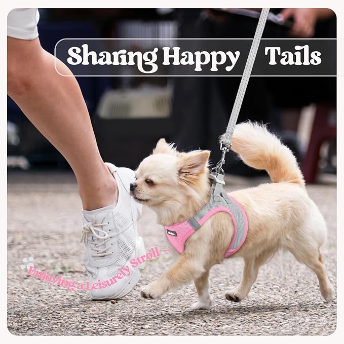 rabbitgoo Dog Harness Small Sized and Leash Set, Step-in Puppy Pet Vest | Light, Soft, Breathable Air Mesh, Easy on and Remove with Hook & Loop, Secure Reflective for Walking, Light Pink & Gray XXS - Image 9