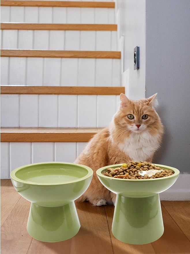 LoeJan Elevated Food and Water Bowls Set, Extra Wide and Raised Ceramic Feeder, Anti-Vomit Whisker-Free Pressure Cat Bowl for Kittens to Adult Cats, Small Dogs (Green, Water Bowl) - Image 7