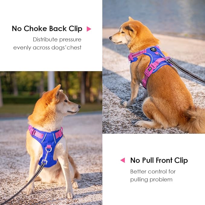 No Pull Dog Harness, Unique Colors Reflective Adjustable Dog Vest | with Soft Training Handle Metal Clips for Small Medium Large Dogs (Royal Blue Base & Pink Straps,XL) - Image 4