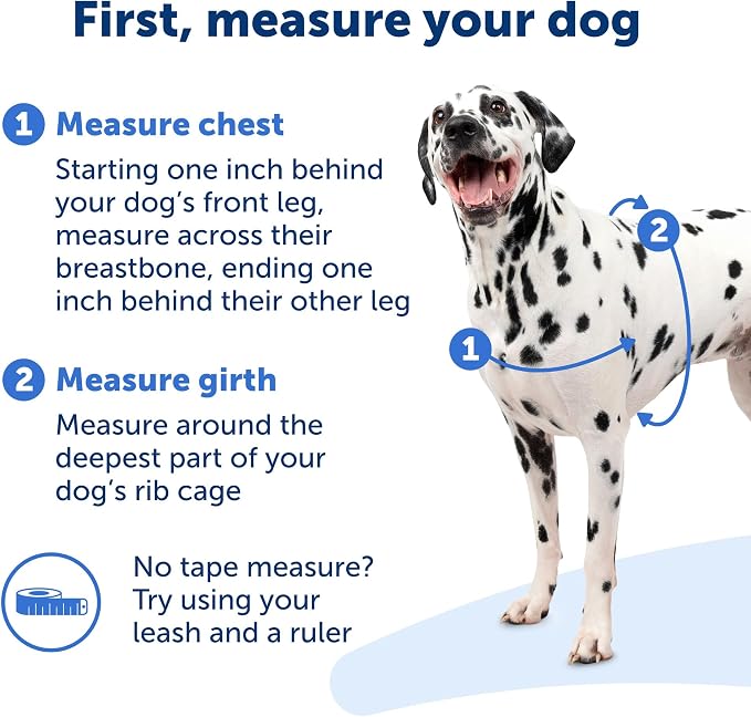 PetSafe Easy Walk Harness for Dogs - Pull-Free Walks - Patented Martingale Loop Design - Front Chest Leash Attachment - Comfort Straps - Breathable Harness Design - Medium, Charcoal/Black (Pack of 3) - Image 4