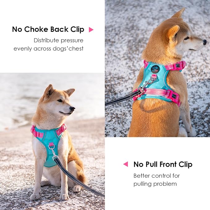 No Pull Dog Harness, Unique Colors Reflective Adjustable Dog Vest | with Soft Training Handle Metal Clips for Small Medium Large Dogs (Mint Green Base & Pink Straps,L) - Image 4