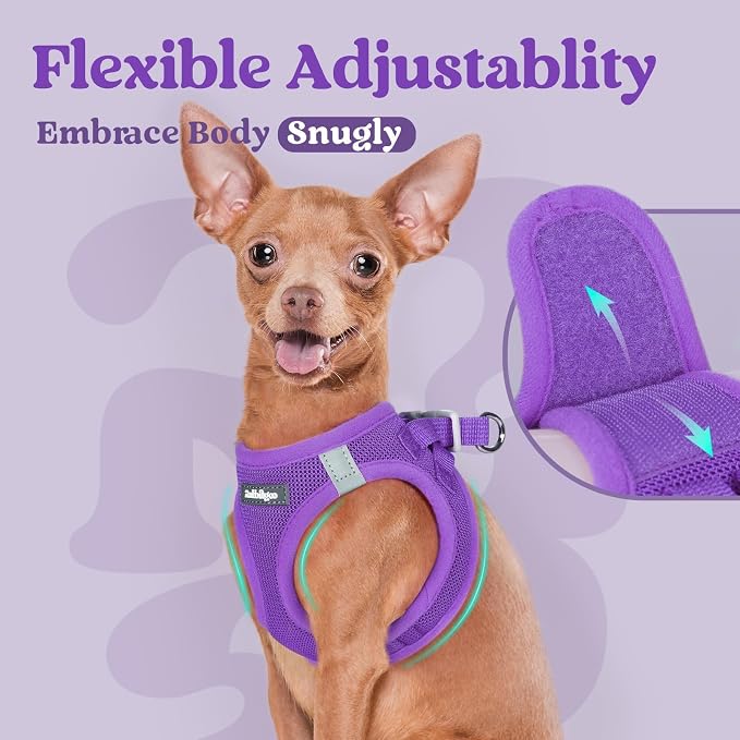 rabbitgoo Step-in Small Dog Harness, Puppy Vest for Small Medium Sized Pet | Easy Put on and off, Lightweight, Soft, Breathable Quick-Dry Air Mesh for Comfortable Secure Walking, Purple L - Image 6