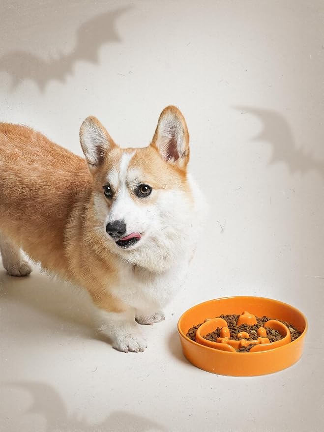 LE TAUCI Ceramic Slow Feeder Dog Bowl for Small Medium Dogs & Puppy, 1.5 Cup Puzzle Food Dish to Slow Down Eating, Pumpkin Orange - Image 6