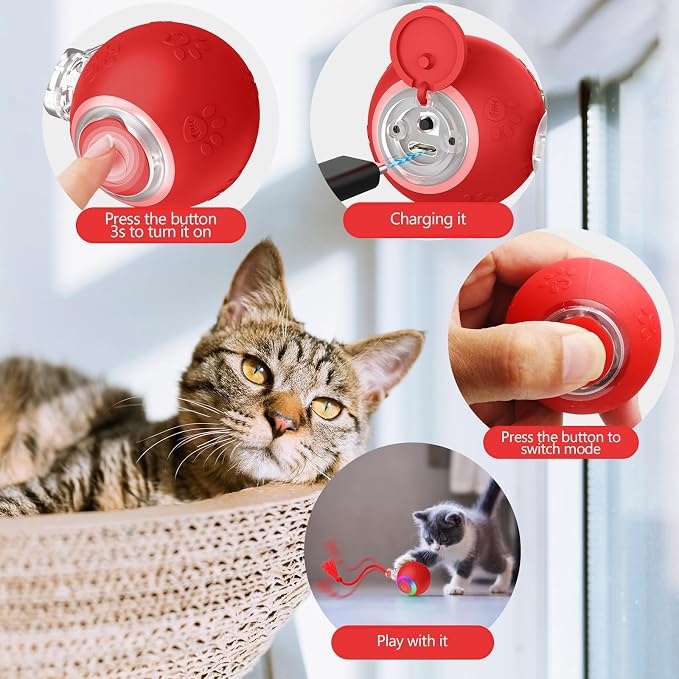 Moving Pet Ball, Cat String Toy for Indoor Cats & Small Dogs | juguetes para gatos|chirping bird cat toy|motion activated cat toy|cat toys for bored indoor adult cats - Image 6