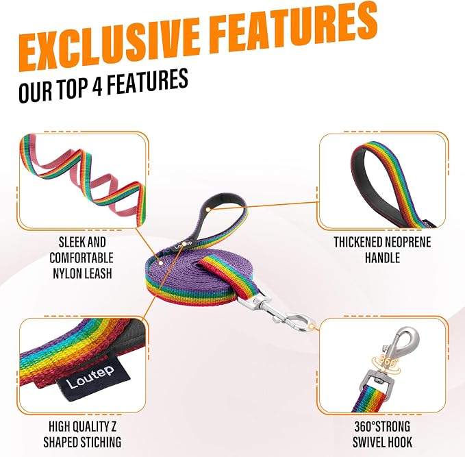 Long Line Dog Training Leash with Padded Handle, 100 ft, Rainbow | Durable nylon webbing with reinforced stitching and 360° swivel clip for recall and obedience - Image 5