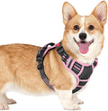 rabbitgoo Dog Harness Small Sized, Updated Easy On & Off with 3 Buckles | No Pull No Choke, Walking with 2 Clips and Handle, Adjustable Soft Reflective, Black & Pink, Small by rabbitgoo