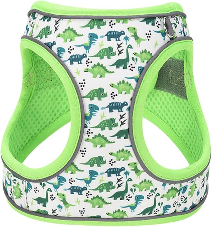 Step in Dog Harness No Pull Dinosaur Adjustable Soft Mesh Harness | Padded Reflective Pet Vest Harness and Leash Set for Small Medium Dogs - Image 2