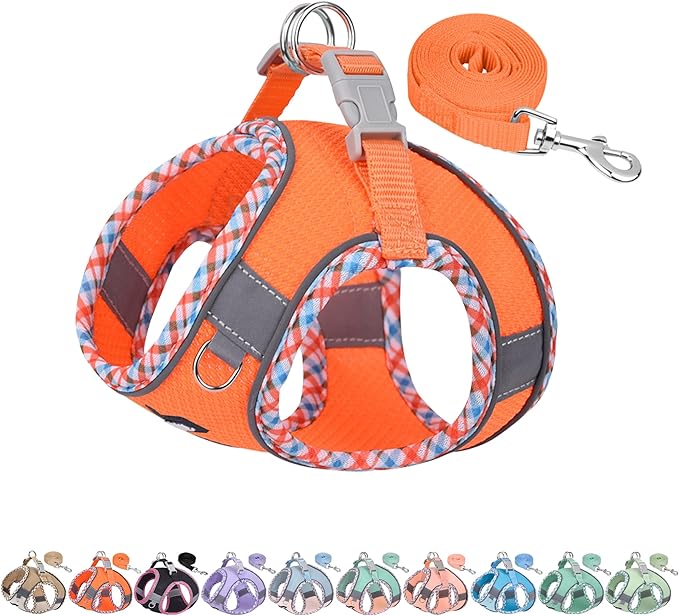 Teacup Puppy Harness with Leash, Escape-Proof Design, Orange S | No Pull Step-in Dog Vest Harness, Breathable Mesh, Reflective Design with Magic Tape, Outdoor Use for Poodles, Pomeranians by AIITLE-FORPETSBETTERLIFE