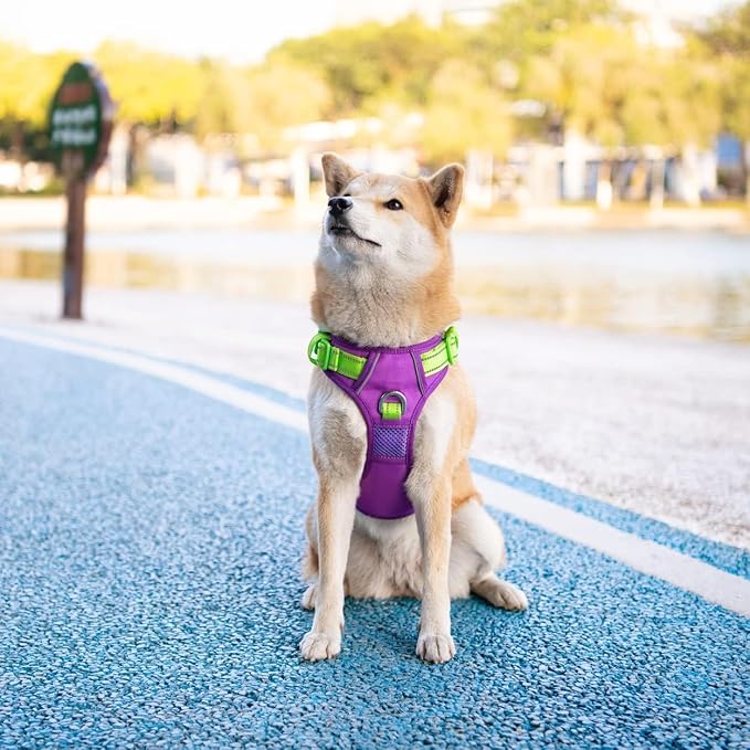 No Pull Dog Harness, Unique Colors Reflective Adjustable Dog Vest, with Soft Training Handle Metal Clips for Small Medium Large Dogs (Purple Base & Green Straps,L) | with Soft Training Handle Metal Clips for Small Medium Large Dogs (Purple Base & Green... - Image 6