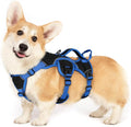 rabbitgoo Escape Proof Dog Harness for Small, No Pull with Lift Handle | No Escape, Full Soft Padded, Reflective Adjustable Vest, Leash Clip for Walking Hiking Training, Blue & Black, Small by rabbitgoo