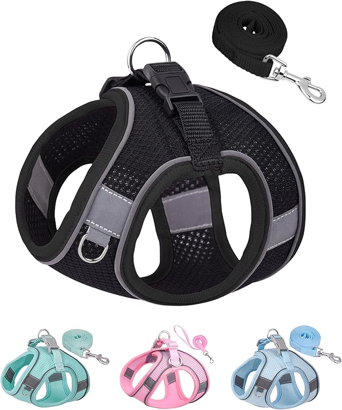 SOLMOONY Dog Harness for Small Medium Dogs No Pull, Puppy and Leash Set, Dogs, Step in Harness, mesh Harness. (Black, XXS) JJSS032 by SOLMOONY
