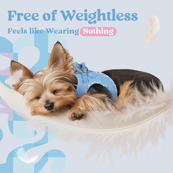rabbitgoo Step-in Small Dog Harness, Puppy Vest for Small Sized Pet | Easy Put on and off, Lightweight, Soft, Breathable Quick-Dry Air Mesh for Comfortable Secure Walking, Blue & Plaid Trim S - Image 4