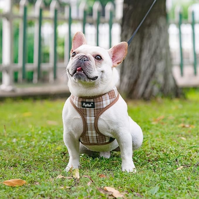 PUPTECK Small Dog Harness and Leash Set No Pull for XS XXS Sized Dogs Puppy | Escape Proof No Choke Pet Cat Adjustable Soft Padded Walking Vest - Image 6