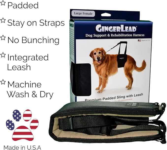 Dog Support Sling Rear Harness, Large Female, Machine Wash & Dry | Padded Rear Lift, Integrated Leash, Assist Senior K9s or Recovery from Knee/TPLO, Hip or Back Surgery, Made in U.S.A. - Image 3