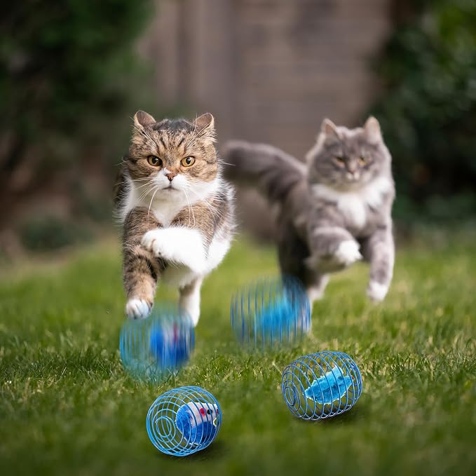 Jecery 5 Pcs Cat Toys Spring,Mouse,Blue White | Interactive Metal Cat Toy, Stretchable Rolling Ball, for Indoor Cats, Colorful Playful Coils, Kitten Pet Supplies - Image 5