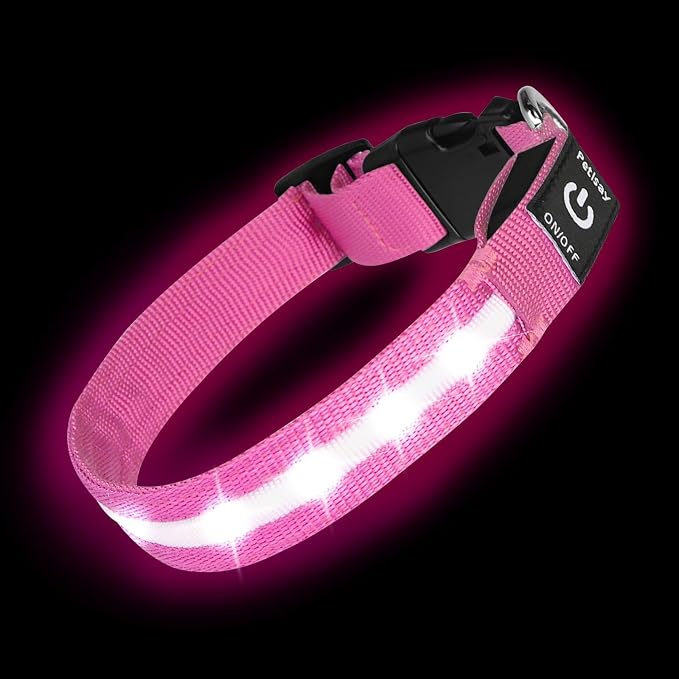 Super Bright LED Dog Collar, Waterproof Light up Collars(Pink, Large) | Lighted Dog Collar with Adjustable Fit, Soft Nylon Comfort, USB-C Rechargeable, Glow in the Dark Visibility for Night Walks by PetIsay