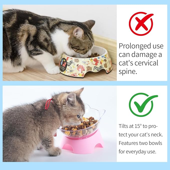 MILIFUN Raised Cat Food Bowls with Stand, Cat Dishes for Food or Water, Tilted Bowl, Pet Dish with Stand - Image 4