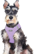 rabbitgoo Step-in Small Dog Harness, Puppy Vest for Medium Sized Pet | Easy Put on and off, Lightweight, Soft, Breathable Quick-Dry Air Mesh for Comfortable Secure Walking, Light Purple XXL by rabbitgoo