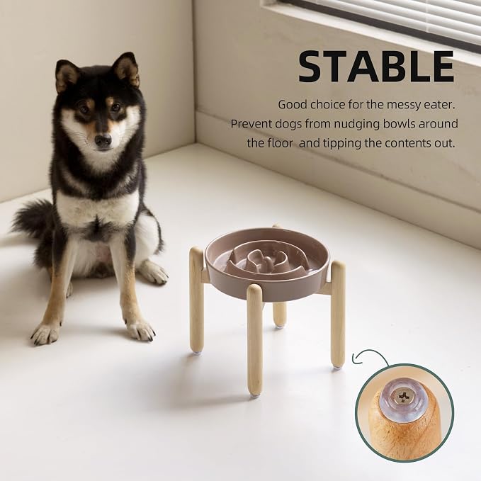Havniva Elevated Slow Feeder Dog Bowls, Ceramic Dog Bowl Slow Feeder | 1.6 Cups Raised Slow Feeding Bowl for Medium Breed, Puzzle Dog Food Bowl with Wooden Stand, Non-Slip, Anti-Choking - Image 6