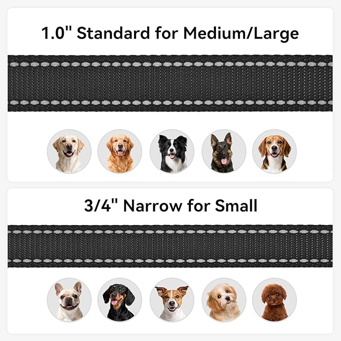 Joytale Reflective Dog Leash for Small Dogs, 5 FT x 3/4", Black | Heavy Duty Nylon Webbing, Padded Handle for Comfort, Visible at Night, for Walking & Training - Image 6