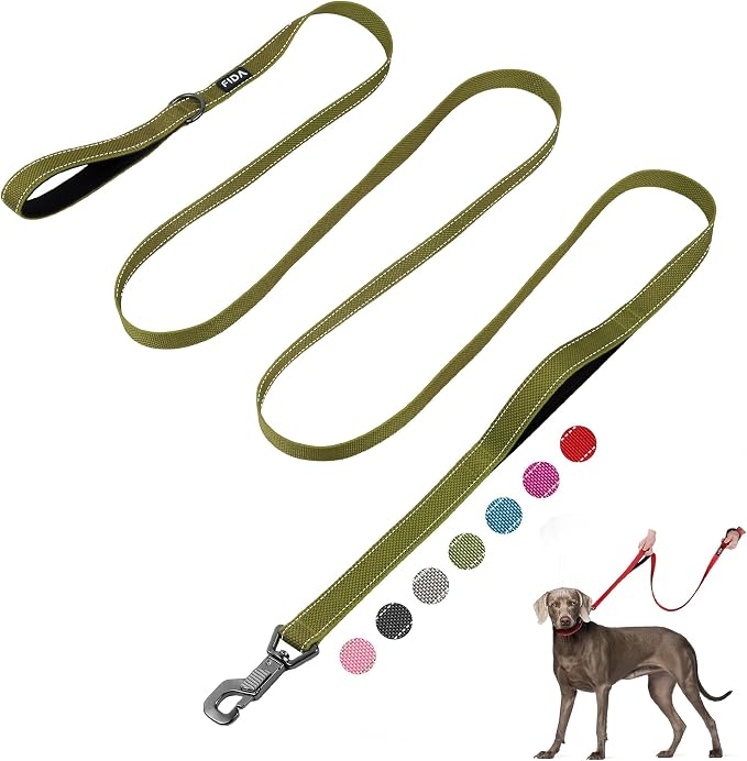 Fida 10 FT Heavy Duty Dog Leash, Dual Padded Handles for Medium Large Dogs | Traffic Handle for Close Control, Advanced Easy Snap Hook, Reflective, Strong Nylon Webbing for Long Walks & Training, Green by Fida