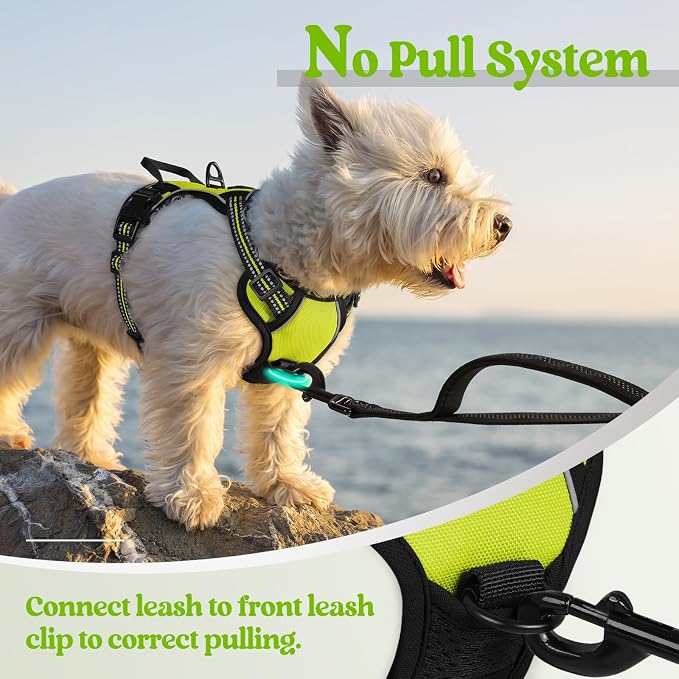 rabbitgoo Dog Harness No Pull with 2 Leash Clips, Adjustable Soft Padded, Reflective Oxford No Choke Pet Vest with Easy Control Handle for Puppy, Green, XS | No Choke with Handle, Adjustable Soft Padded, Reflective, Easy Control for Walking, Wild Lime,... - Image 5