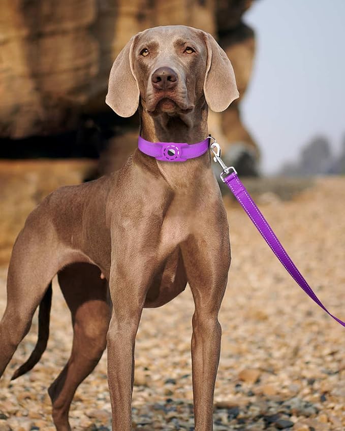 6FT Reflective Dog Leash, Padded Handle for Small Medium Dogs | Comfortable Nylon, Soft Handle Cushioning, Reflective Safety at Night, Walking Leash for Park & Hiking (3/4in, Purple) - Image 2