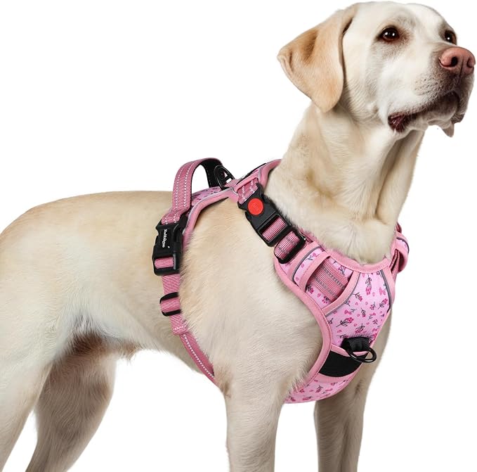rabbitgoo Dog Harness for Large, Updated Easy On & Off with 3 Buckles | No Pull No Choke, Walking with 2 Clips and Handle, Adjustable Soft Reflective, Floral Pink, Large by rabbitgoo