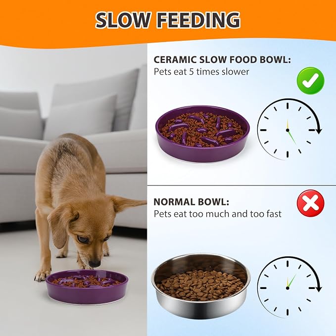 Ceramic Slow Feeder Dog Bowl, 2 Cups Maze Puzzle Dish to Slow Down Eating | Premium Ceramic Material with Anti-Slip Design, Suitable for Small, Medium and Large Breed Dogs Daily Feeding - Image 5