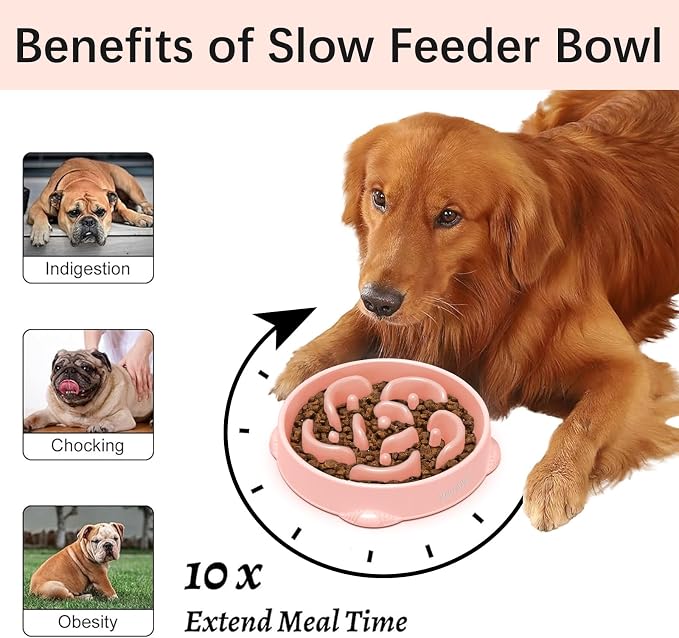 MateeyLife 2-Pack Slow Feeder Dog Bowls, 4 Cups, Dog Puzzle Feeder Bowl | Food-contact safe, dishwasher safe, non-slip base, maze design, for fast eaters, for dogs and cats, daily mealtimes - Image 2