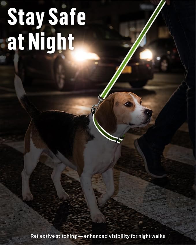 FunTags Reflective Nylon Dog Leash for Small & Medium Dogs, 6FT for Walks | Comfortable Padded Grip, Stay Safe at Night, 360° Anti-Tangle Swivel, for Dog Parks & Trails, Green - Image 3