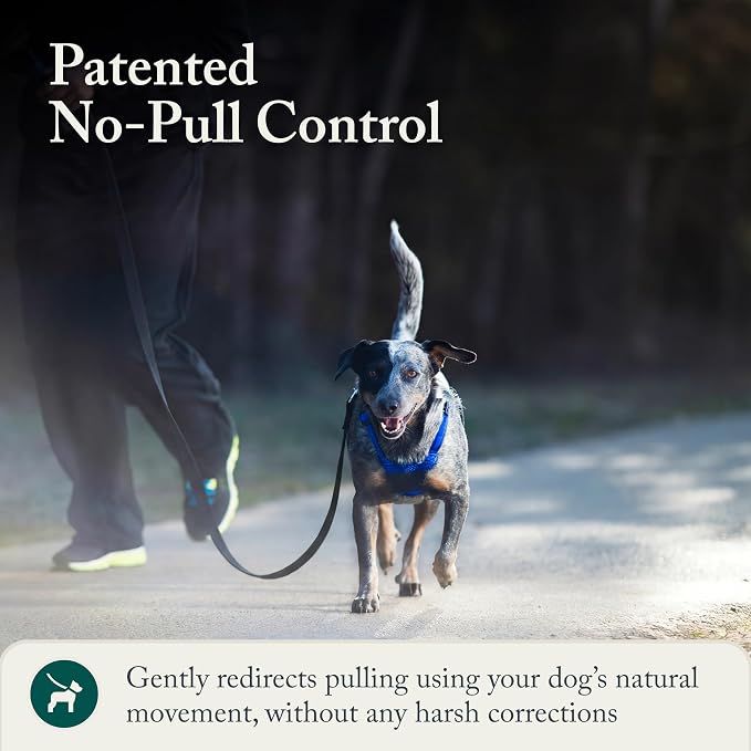 Sporn No Pull Dog Harness, Durable Nylon Mesh Harness for Medium Dogs, No Choke Design, Padded Restraint Sleeves, Adjustable Fit, Easy On/Off, Ideal for Medium Breeds, Blue - Image 6