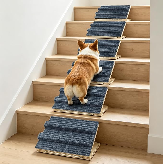 Dog Ramp for Stairs for Small Dogs Up to 40 lbs - Adjustable Dog Stair Ramp with Non-Slip Carpet, Foldable Pet Ramp for Stairs, Dog Ramp Stairs for Senior Dogs, Puppies, Bed, Sofa (6-Pack) by Unknown