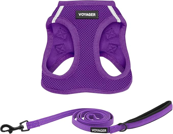 Best Pet Supplies Voyager Step-in Air All Weather Mesh Harness and Reflective Dog 5ft Leash Combo with Neoprene Handle, for Small, Medium and Large Breed Puppies - Purple, Large by BestPetSuppliesLLC