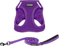 Best Pet Supplies Voyager Step-in Air All Weather Mesh Harness and Reflective Dog 5ft Leash Combo with Neoprene Handle, for Small, Medium and Large Breed Puppies - Purple, Large by BestPetSuppliesLLC
