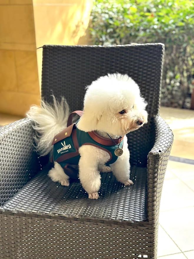 Wakytu Dog Lift Harness Dog Carrier Sling for Small Dogs & Cats,S | stylish puppy sling carrier with handle & pocket,adjustable leash,walking & travel - Image 2