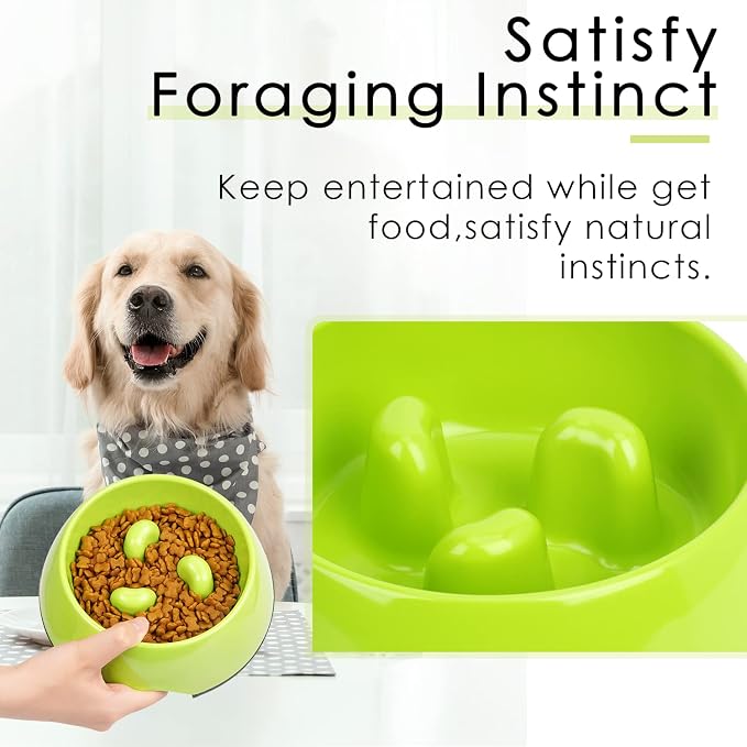 Super Design Slow Feeder Dog Bowl, 1 Cup, Non-Slip, Heat-Resistant, Sturdy, Dishwasher Safe, Suitable for Large Dogs - Image 2