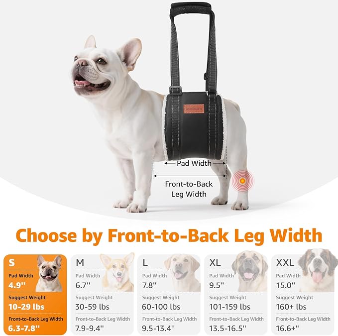 LOOBANI Portable Dog Sling for Small Dogs Hind Leg Support Weak Rear Legs | Walking & Stair Assistance, Senior Dog Mobility, Padded Comfort, Adjustable Fit, Lightweight Nylon, Soft Plush Lining - Image 4