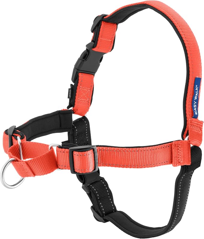 PetSafe Deluxe Easy Walk Harness, Medium/Large, Rose Red (EWH-D-HC-M/L-RSE) | Padded Neoprene Straps, Reflective Strips for Night Safety, Martingale Loop Curbs Pulling from the Chest, Not the Throat by PetSafe
