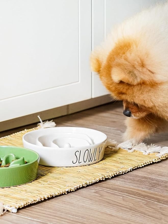 LE TAUCI PET Ceramic Elevated Slow Feeder Dog Bowl - 0.6 Cup Puzzle Feeder with Wooden Stand for Small Breeds, White Pet Dish - Image 2